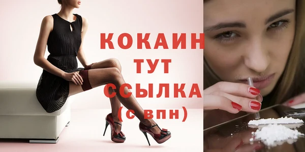 spice Волосово