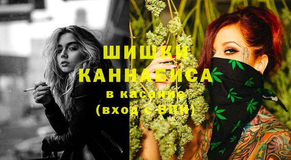 spice Волосово