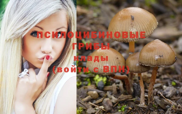 apvp Волоколамск