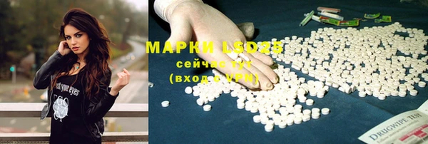спиды Володарск